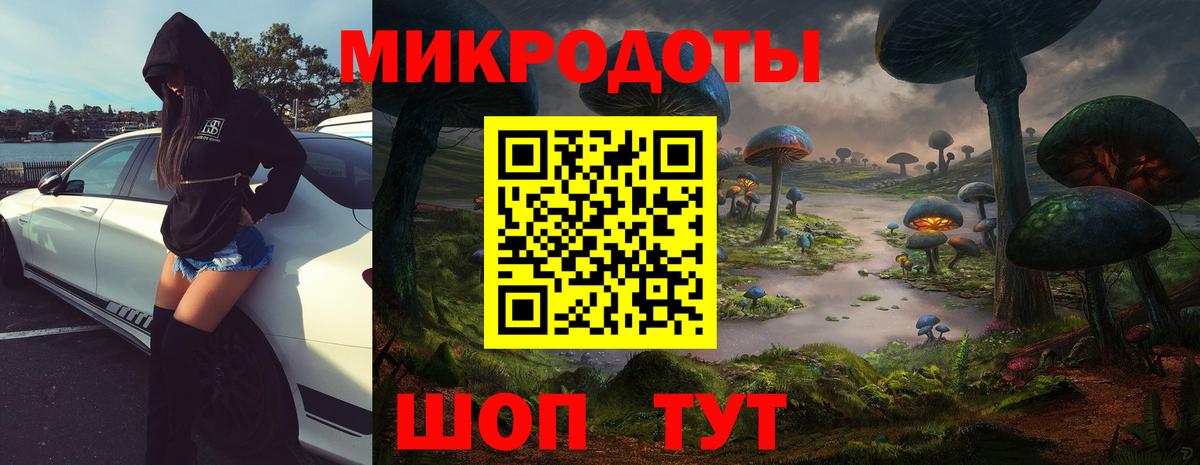 Скопин  Псилоцибиновые грибы Cubensis  Вход с VPN 